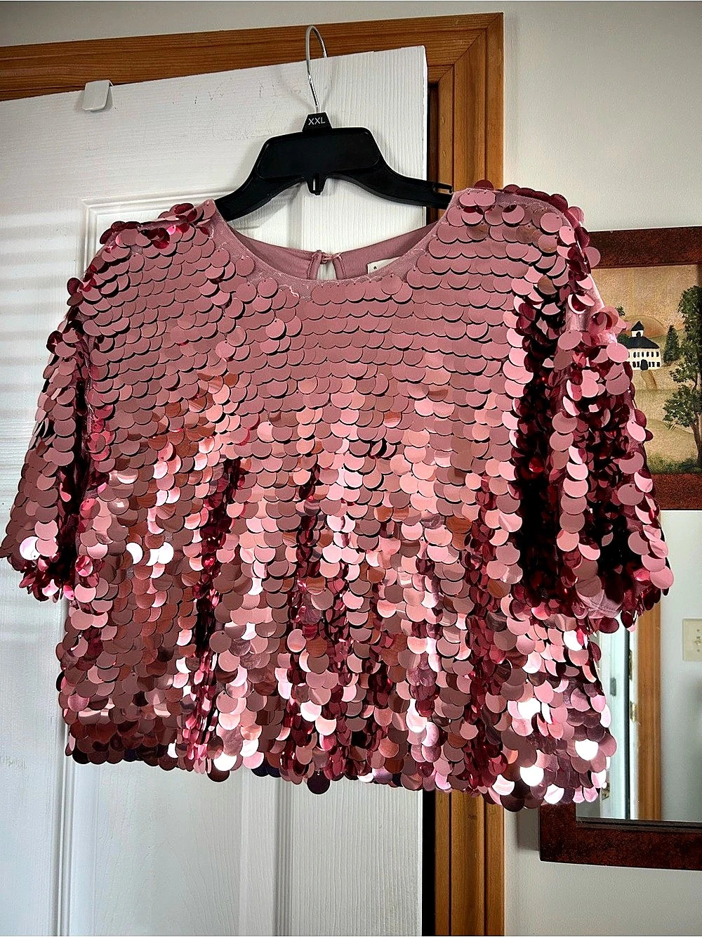 a new day Sequin Short Sleeve Blouse in Pink Size Medium Like New